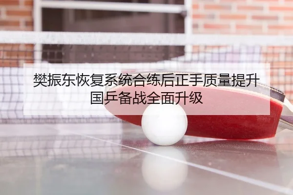 樊振东恢复系统合练后正手质量提升 国乒备战全面升级